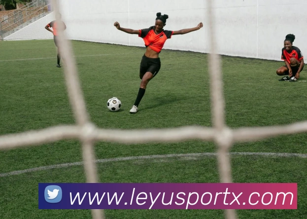 乐鱼体育发展历程